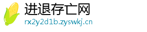 进退存亡网